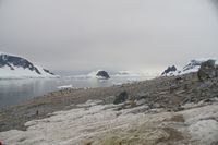 
DSC00080